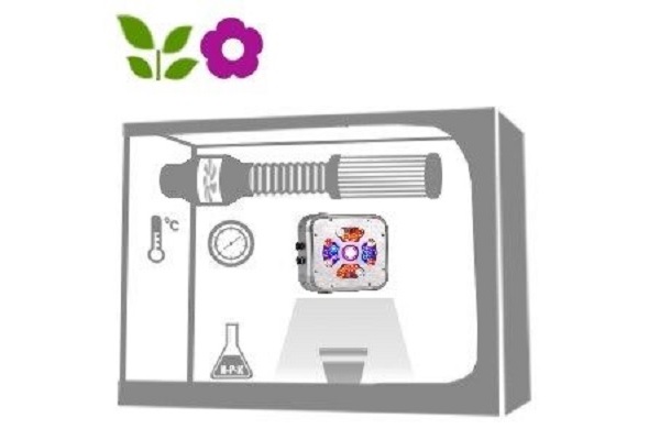 Grow Box: caratteristiche e tipologie